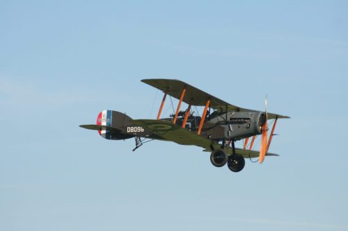 IMG 8842