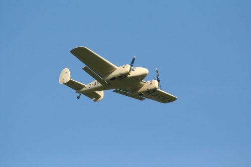 IMG 8917