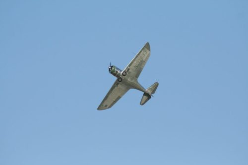 IMG 8996