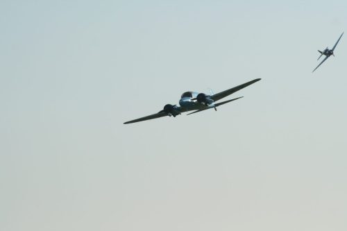 IMG 9013