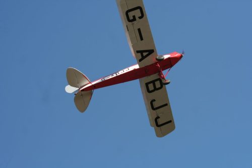 IMG 7695