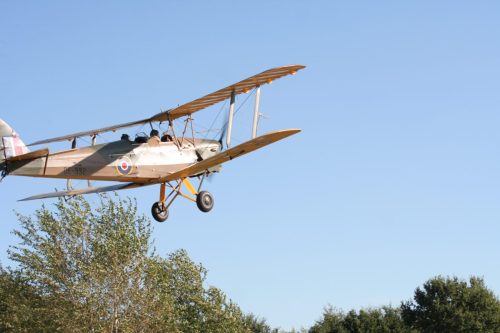 IMG 7716