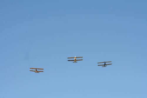 IMG 7738