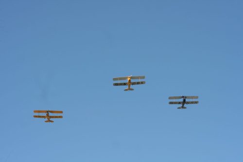 IMG 7739
