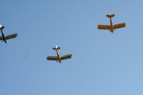 IMG 7746