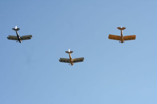 IMG 7747