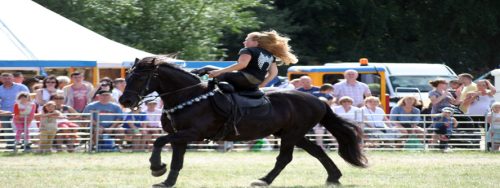 IMG 4277 (1)