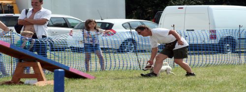 IMG 4284