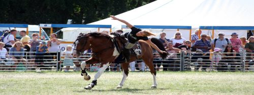 IMG 4292 (1)