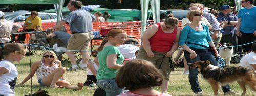 IMG 4363