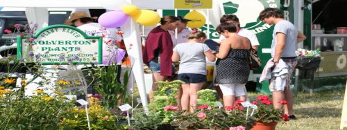 IMG 4524