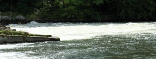 IMG 4937