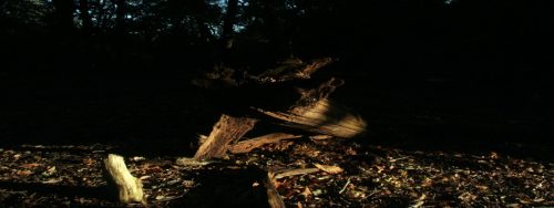 IMG 7012